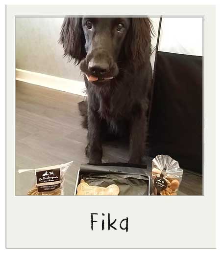 Fika